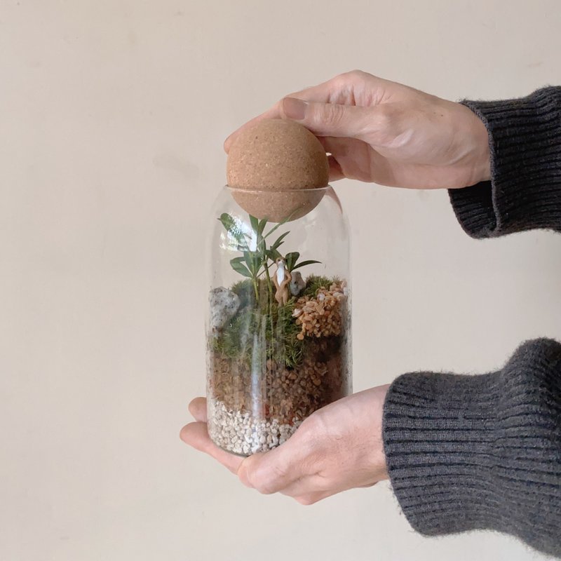 苔蘚微景觀玻璃罐 - 植栽/盆栽 - 植物．花 綠色