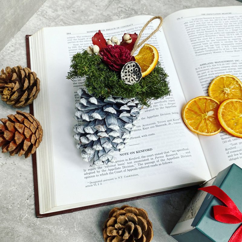 【Christmas Gift】Christmas Diffuse Pine Cone Material Pack Gift Box | Handicap City | Exchange Gifts (to be added) - Plants & Floral Arrangement - Plants & Flowers Green