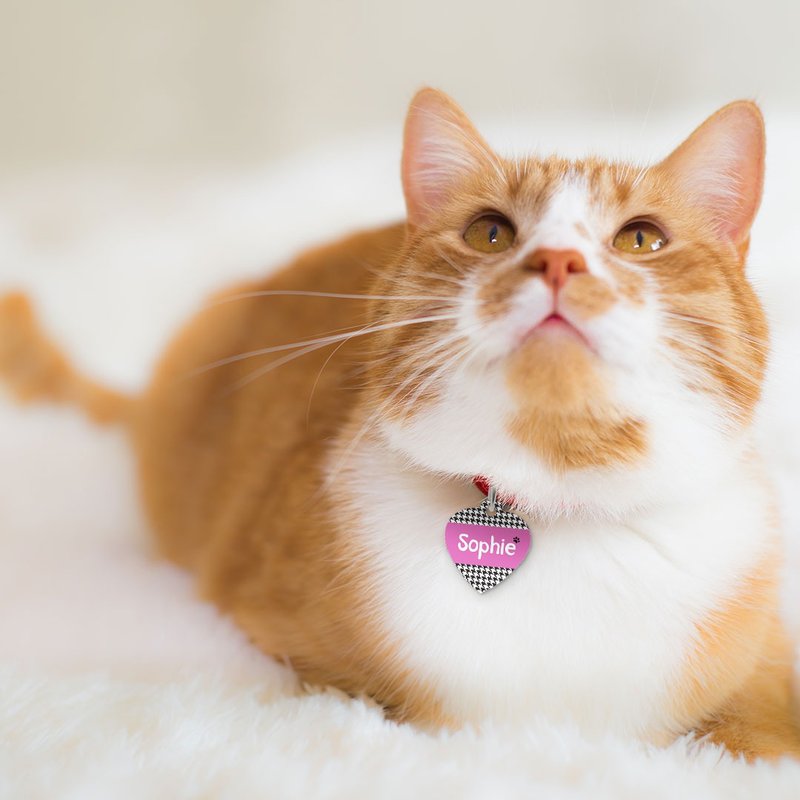 (eVoucher) Photobook: ป้ายชื่อสัตว์เลี้ยง แต่งด้วยภาพของคุณ สำหรับน้องหมาแมว - ปลอกคอ - ไม้ 