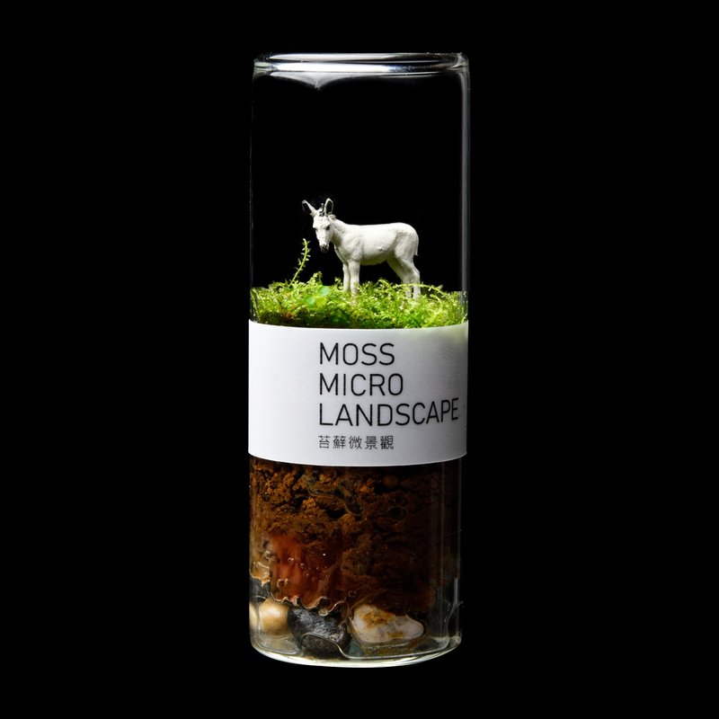 苔蘚微景觀-簡單動物-驢子 - 擺飾/家飾品 - 植物．花 綠色