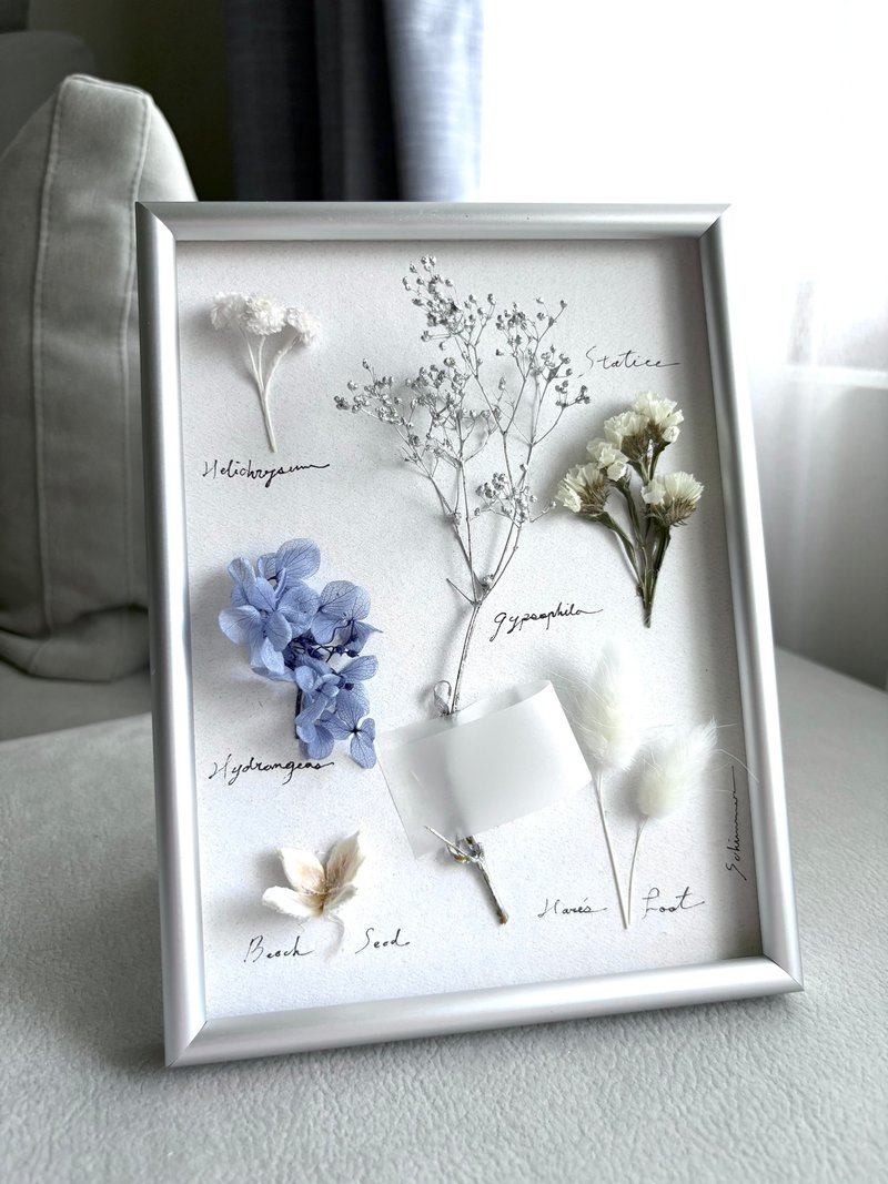 植物圖鑑 ∣ 靚藍與銀灰 乾燥花/植物標本畫框 禮物 - 擺飾/家飾品 - 植物．花 銀色