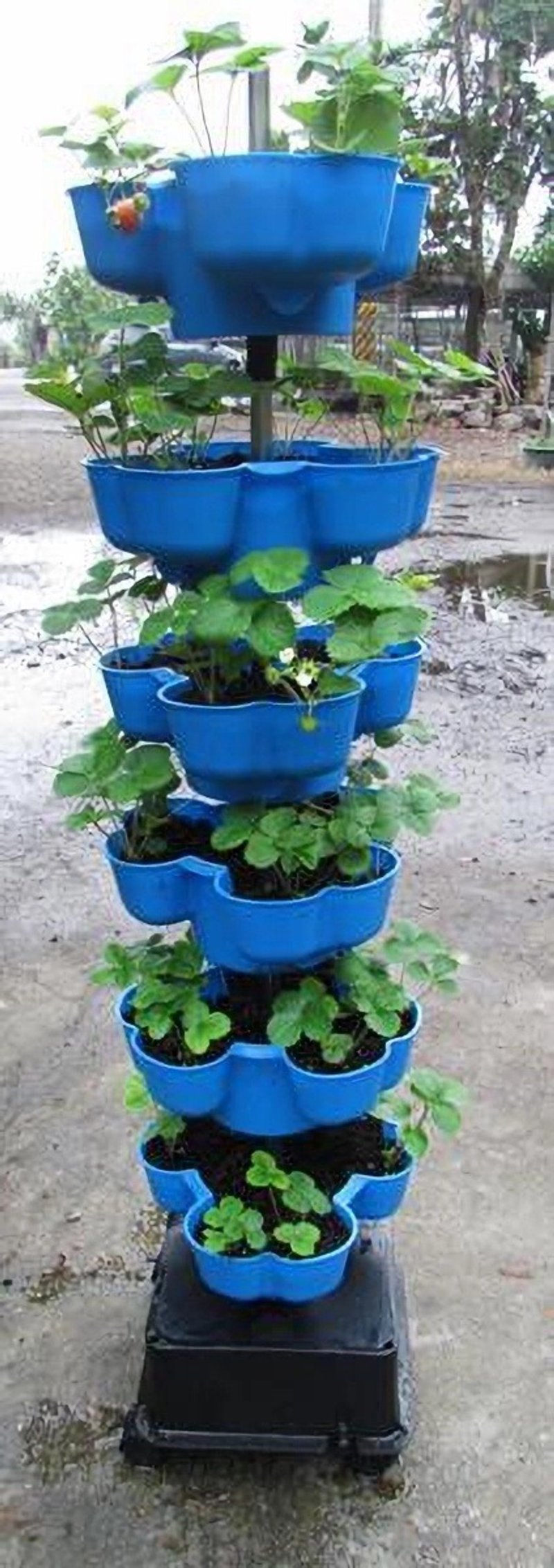 立體植栽花盆　蔬菜塔　適合都市農夫陽台有機種植　立體種菜箱 - 其他 - 塑膠 綠色