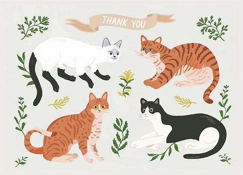 小島研究站 插畫明信片-貓的愛之語1