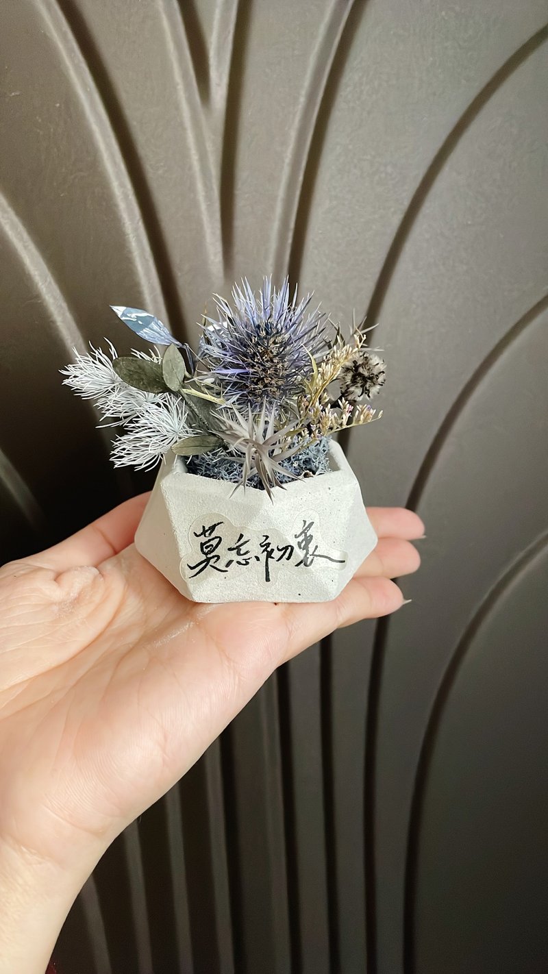 Miss. Flower Mystery [Wenqing Small Table Flower] Dried Flowers Preserved Flowers - Dried Flowers & Bouquets - Plants & Flowers Multicolor