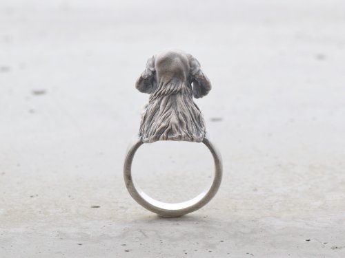 犬のミニチュアダックスフンドリング - ショップ アウトプット