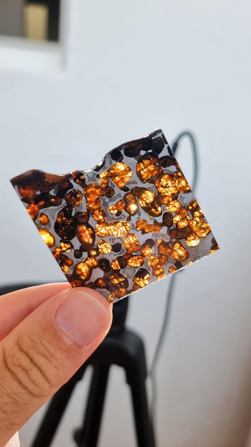 Sericho Pallasite, Kenya. 13.05g slice. - ของวางตกแต่ง - วัสดุอื่นๆ 