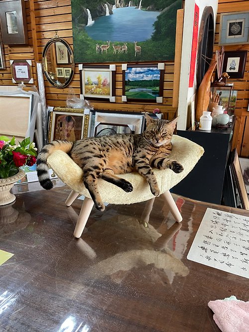 東方木 獨家販售 台灣製 貓床 寵物床 軟墊 曲木床 給毛寶貝最安全的家具