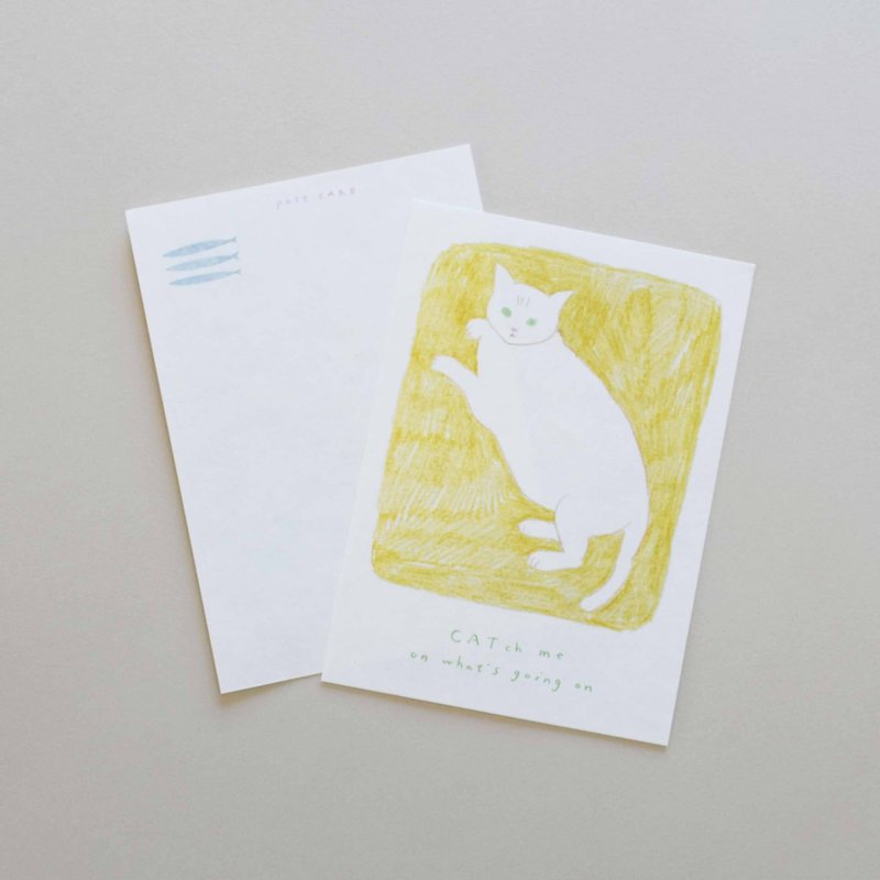 Post Card　猫 |  CAT ポストカード - 卡片/明信片 - 紙 