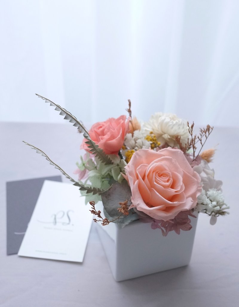 PlantSenseクラシック - 白磁の花とギフトボックス+不死化コーラルピンクのバラ/あじさいの花プリザーブドフラワー〜 - 観葉植物 - 寄せ植え・花 ピンク