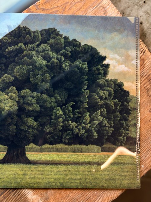 絵画 「気」サブタイトル「多幸の樹」 絵画 「気」サブタイトル「多幸の樹」 絵画 「気」サブタイトル