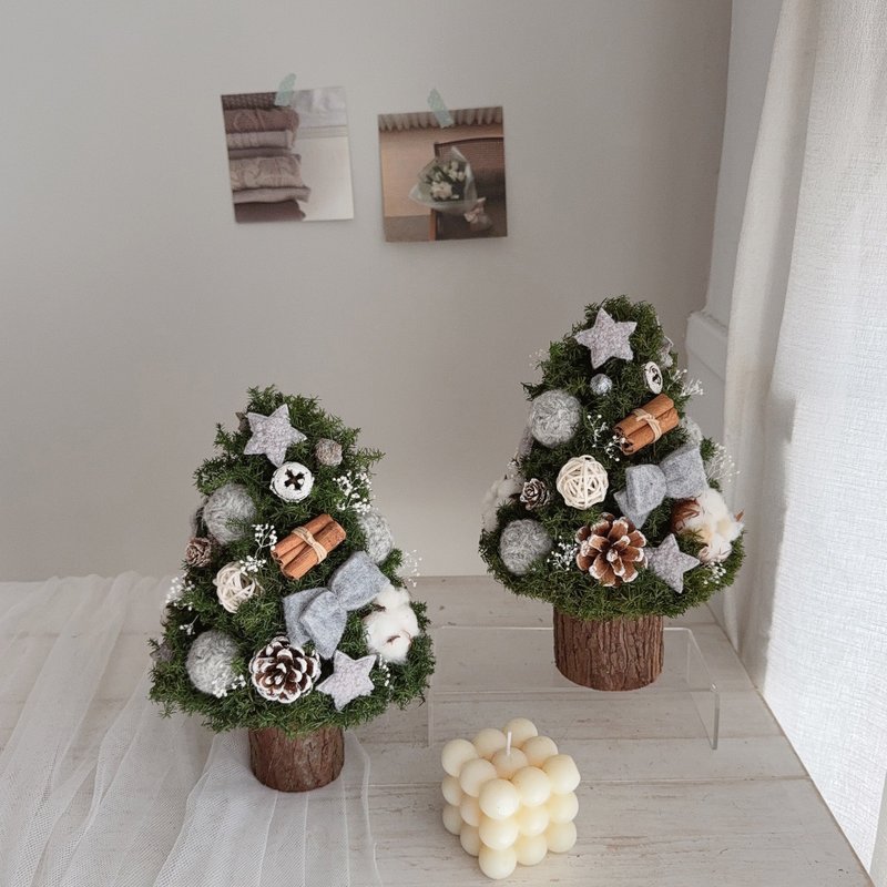 星星心願 永生雪松聖誕樹 - 乾燥花/永生花 - 植物．花 