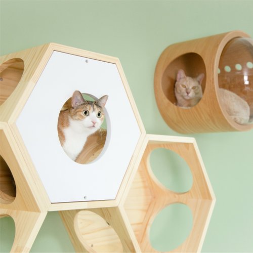 Hexagon Floating Cat Bed Busy Cat Cover PlateWhite MYZOO Shop