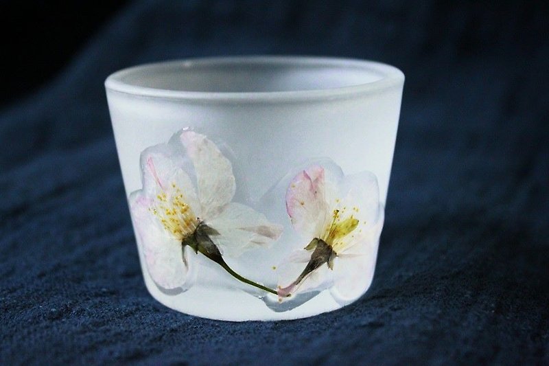 Sakura Japanese-style clear glass / small cup Sakura Sake Cup - Teapots & Teacups - Glass Pink