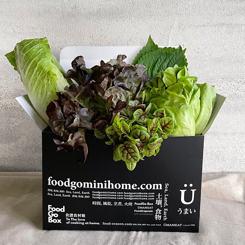 【Vegetable Box for Epidemic Prevention】Lettuce Wrapped with Meat - Cuisine - Fresh Ingredients 