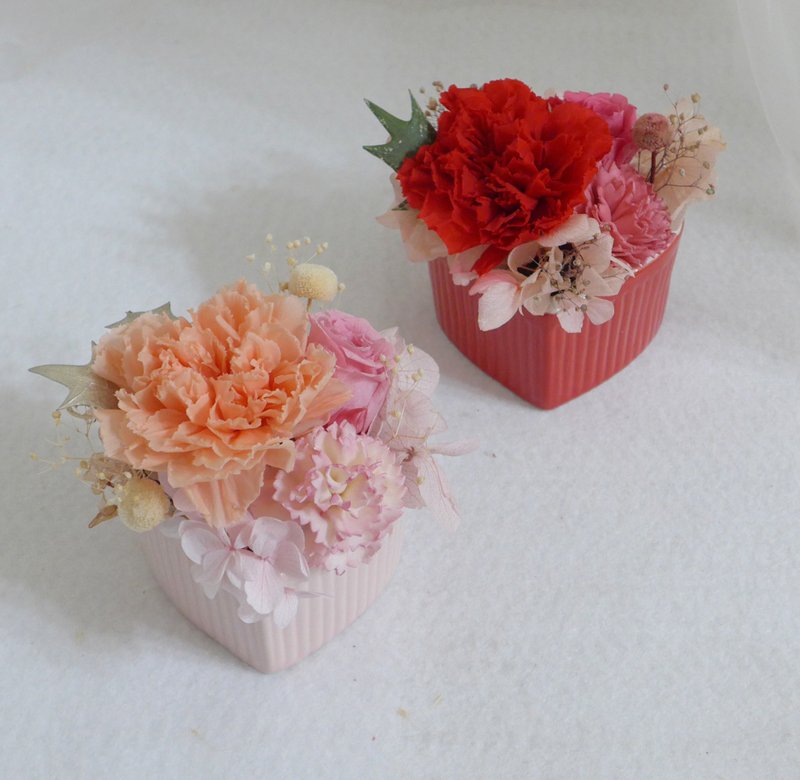 出清|永生康乃馨愛心盆花 結婚捧花永生花母親節情人節玫瑰生日 - 乾燥花/永生花 - 植物．花 紅色