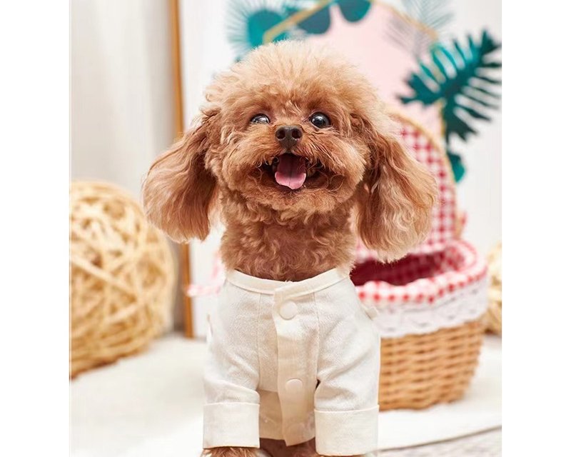 【iC原創】亞麻家居服上衣 - 寵物衣服 - 棉．麻 