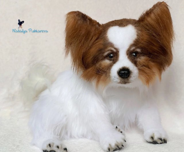 Toy papillon hotsell