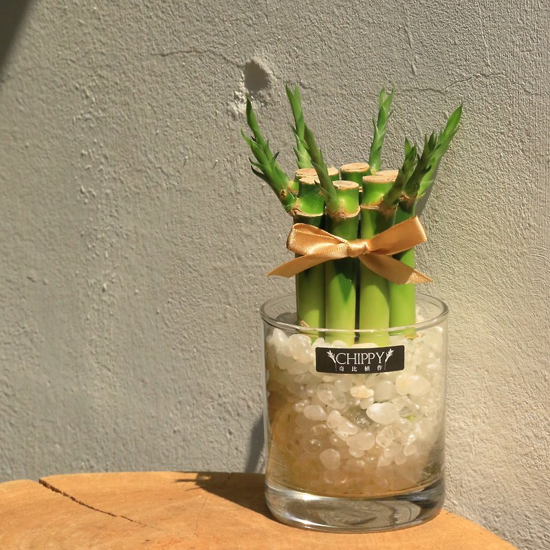 【Lucky Series】Lucky Bamboo on the Table-Purifying Magnetic Field White Crystal - ตกแต่งต้นไม้ - พืช/ดอกไม้ 