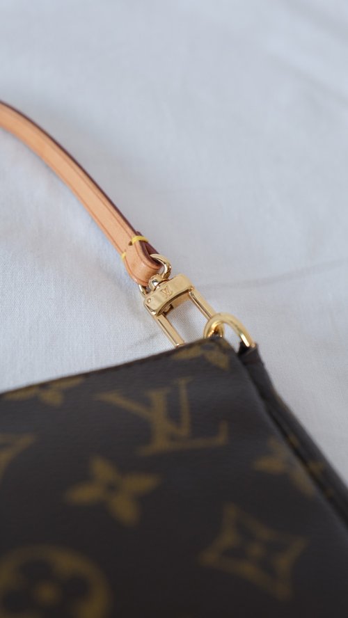 Louis Vuitton 2001 monogram pochette LV presbyopic clutch bag large bird  bag - Shop RARE TO GO Messenger Bags & Sling Bags - Pinkoi