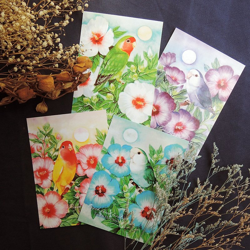 莳 feather series - small parrot postcard set - การ์ด/โปสการ์ด - กระดาษ สีเหลือง