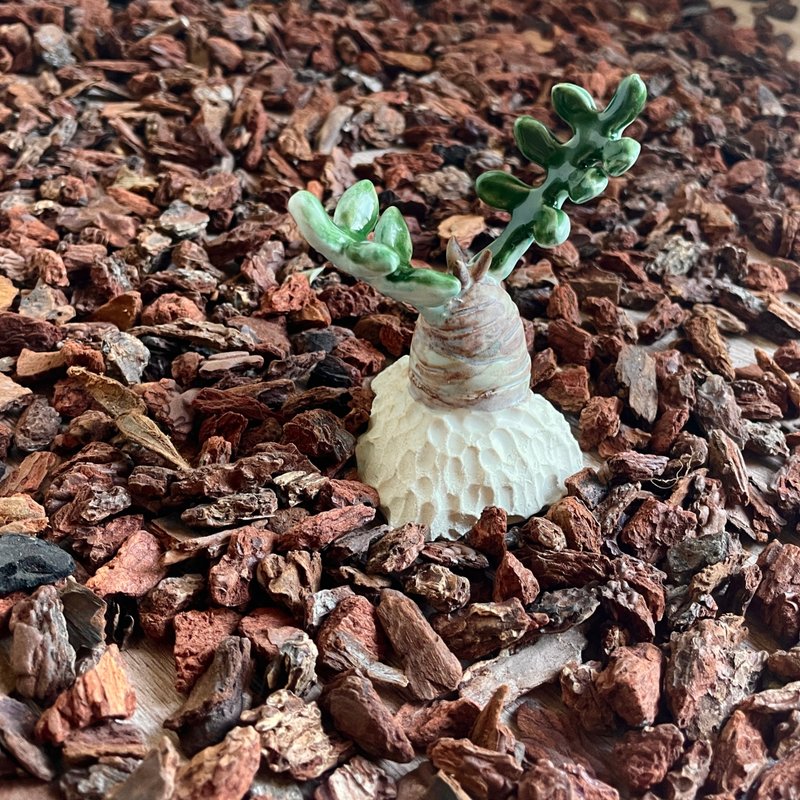 【陶多肉植物-蘇鐵】香氛精油 擴香石 戒台 手作 禮物 多肉 擺飾 - 香氛/精油/擴香 - 陶 綠色