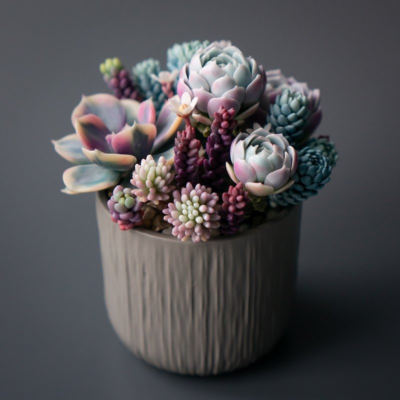 Grey jewelry box with succulent arrangement - Storage - Other Materials 