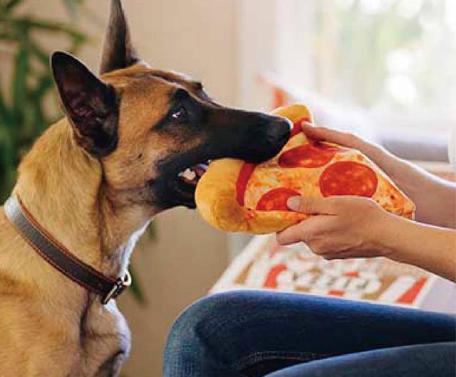 Snack Attack! Pizza, Ice Cream and Lollipop Dog Toy Set - P.L.A.Y.