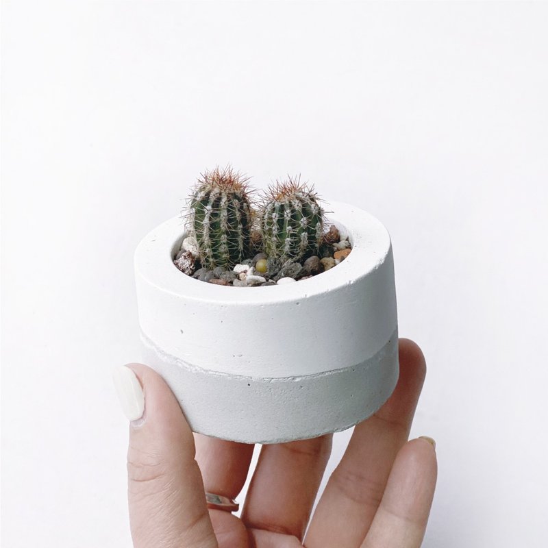 (Spot) White Ash Gradient Series | White Line Pills - Small Round Gradient Cement Cactus Planting - ตกแต่งต้นไม้ - พืช/ดอกไม้ สีเทา