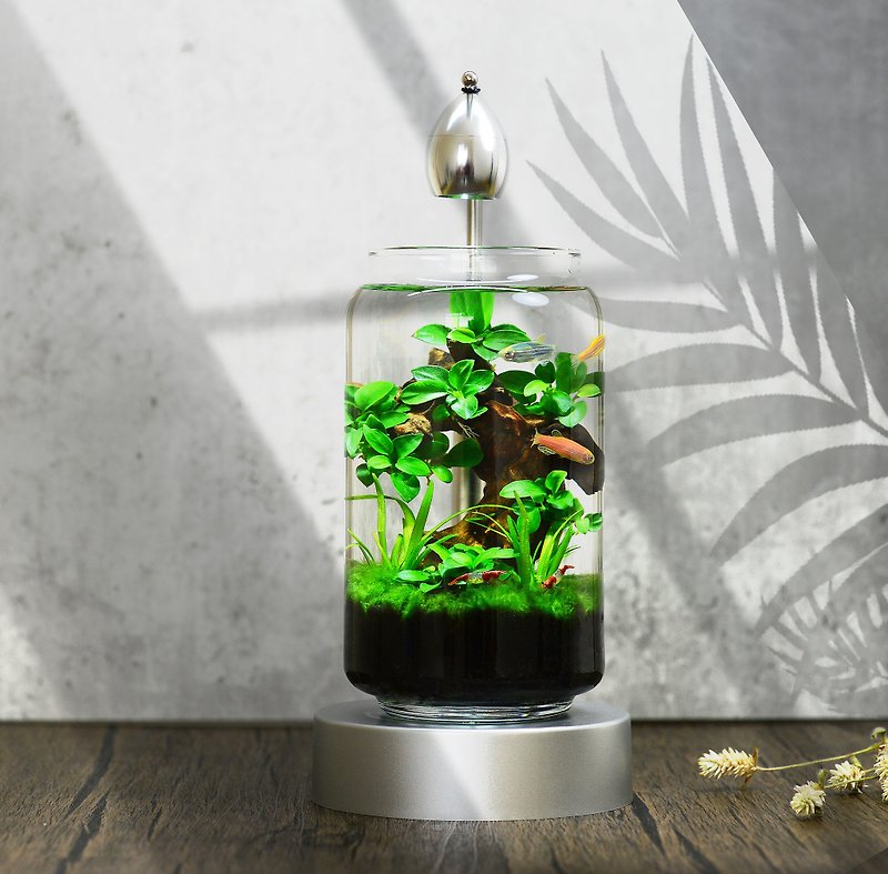 [Free Shipping] Building Blocks Impression Live Aquatic Plant Ecological Relief Fish Tank Ecological Bottle [Slim Yamu] - Other - Glass Silver