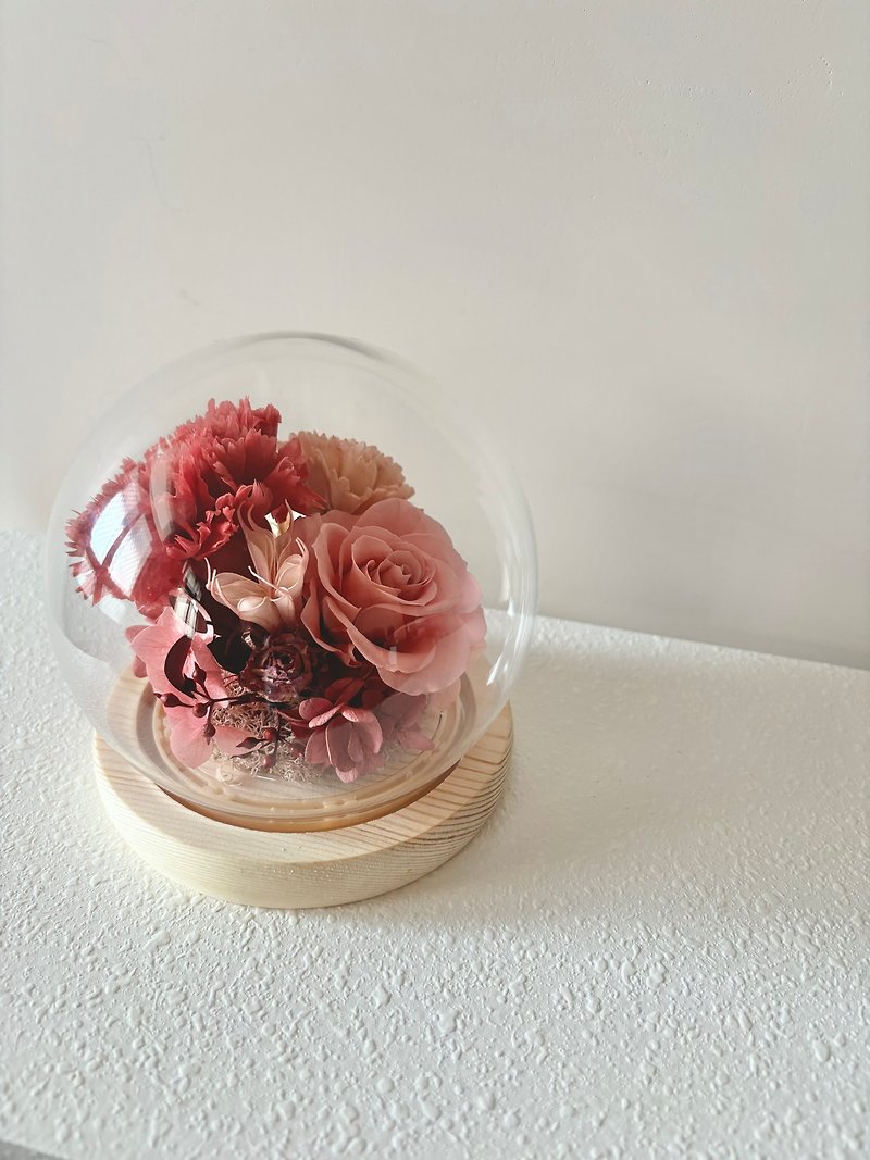 sueing_blossom Eternal Carnation Glass Cover - Dried Flowers & Bouquets - Plants & Flowers 