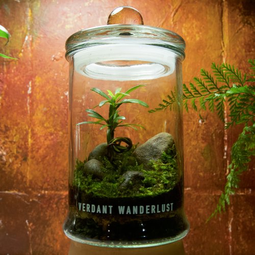 景觀丸藝 Verdant Wanderlust 【生態瓶-松嶼】微景觀 室內植栽 禮物 辦公室擺設