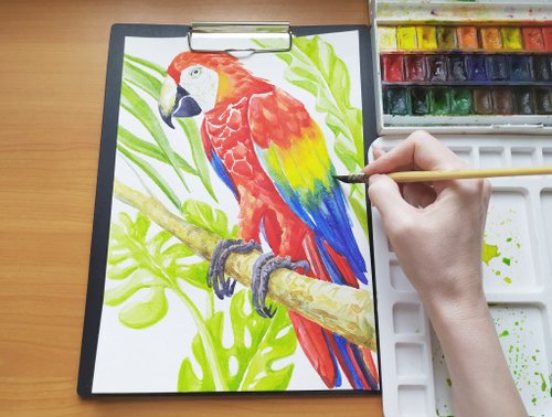 コンゴウインコオウム赤オウム水彩画アート絵画動物鳥オリジナル