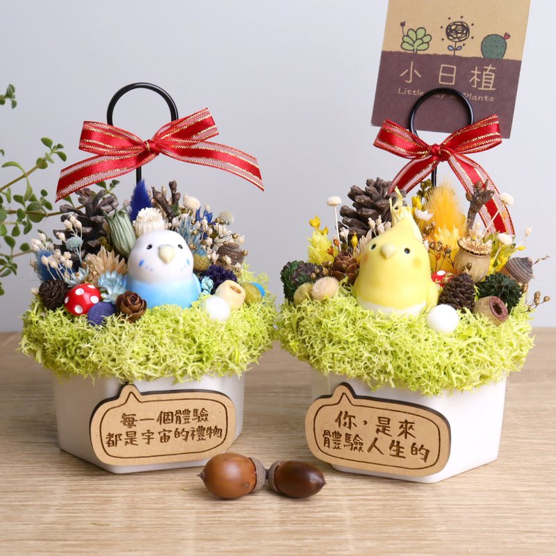 玄鳳虎皮鸚鵡 / 乾燥花名片夾 / 附客製字牌 / 生日母親節禮物 - 名片架/名片座 - 瓷 白色