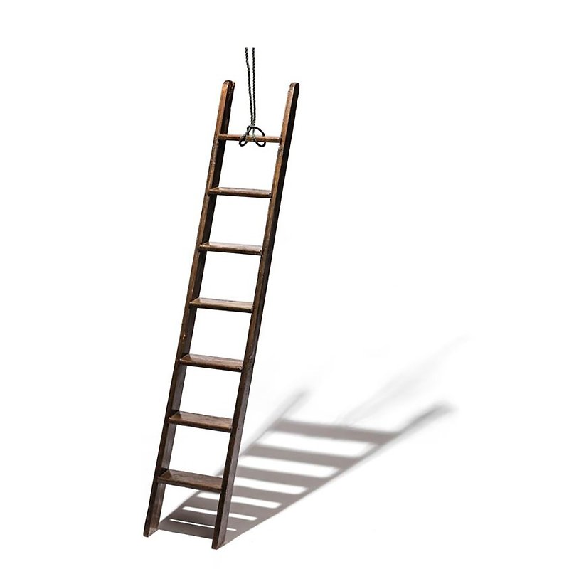 VINTAGE SINGLE LADDER Vintage Industrial Teak Single Ladder - Other - Wood Brown