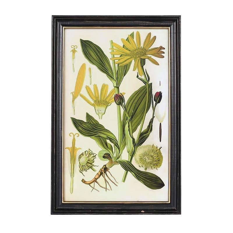 Dutlon plant poster with frame B type - Wall Décor - Paper Green