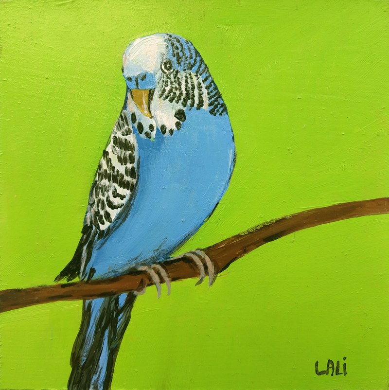 Original Oil Painting on Wood Panel 5x5 inches Blue Budgerigar Bird Portrait - ตกแต่งผนัง - ไม้ หลากหลายสี