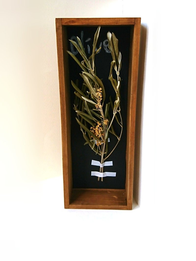 Plant Specimen Box Dry Flower (Olive version.) - Wall Décor - Wood Green