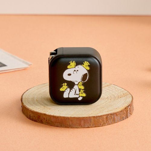 TOYSELECT SNOOPY史努比胡士託圍繞GaN 45W Type-C雙孔充電頭