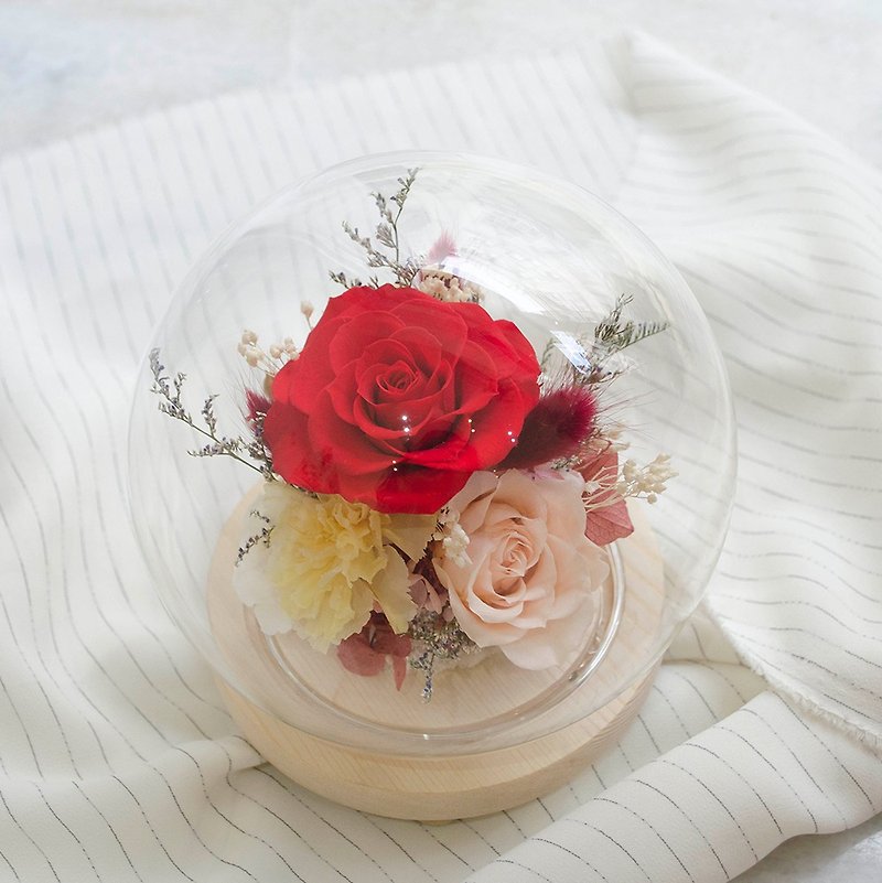 紅黃色系永生花玻璃球 大款玻璃罩 母親節康乃馨 永生紅玫瑰 - 乾燥花/永生花 - 植物．花 紅色