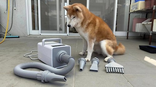 柴犬大學 SHIBA UNIVERSITY 柴犬大學 負離子五段調溫吹水機 寵物吹水機 寵物美容