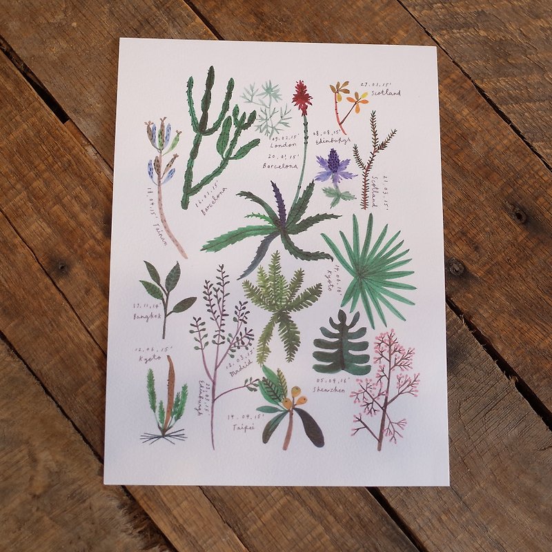 植物紀錄Print (此頁面僅銷售植物畫單張) - 心意卡/卡片 - 紙 