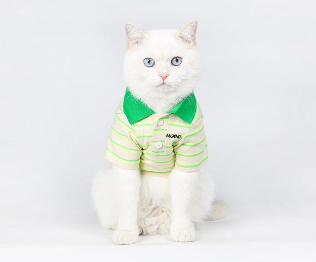 cat in polo shirt