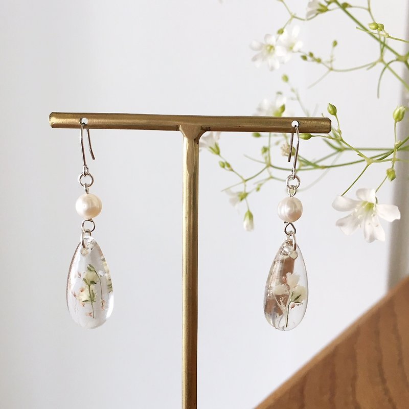 Swing drop shape earrings of babys breath and freshwater pearl (Silver) Vol.2 - 耳環/耳夾 - 其他材質 透明