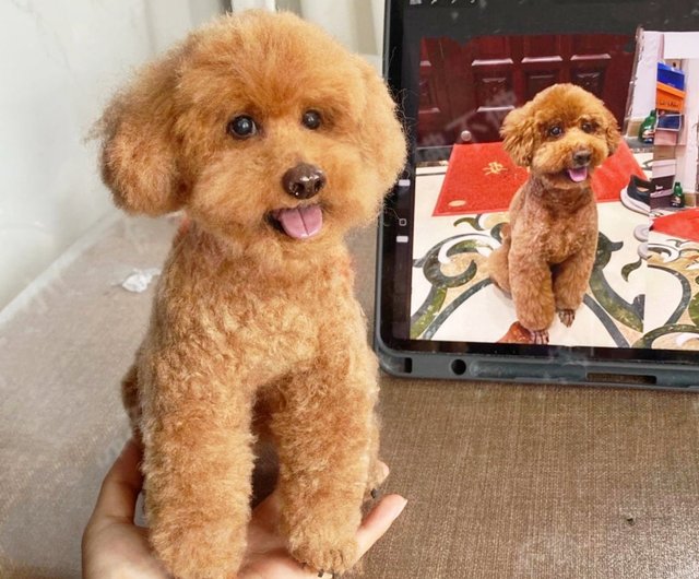 オーダーメイドペット】羊毛フェルト、うちの子 犬ぬいぐるみ