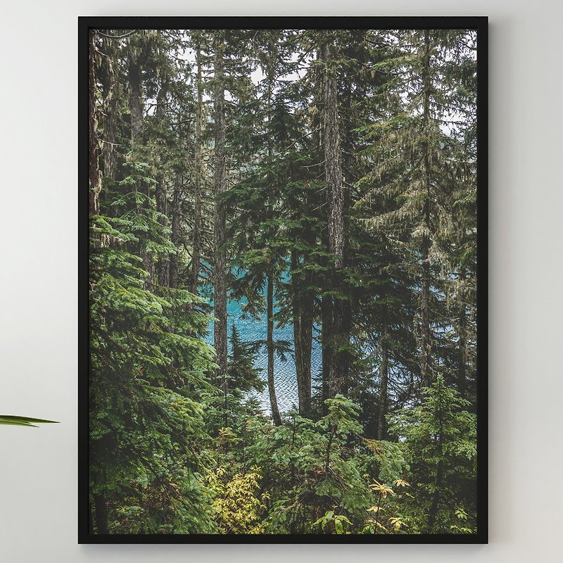 青い湖の森、緑の茂み、木、自然、野生のジャングル、夏、暖かい旅行 - ポスター・絵 - 紙 
