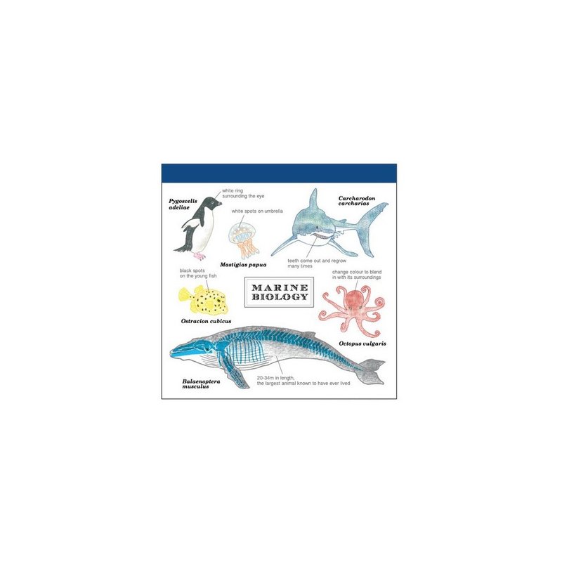 日本 便條本 海洋生物學 - 便條紙/便利貼 - 紙 