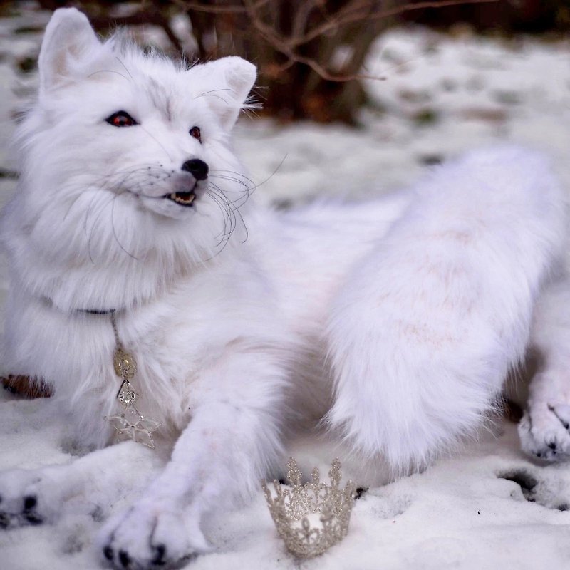 The White Fox - ตุ๊กตา - วัสดุอื่นๆ ขาว