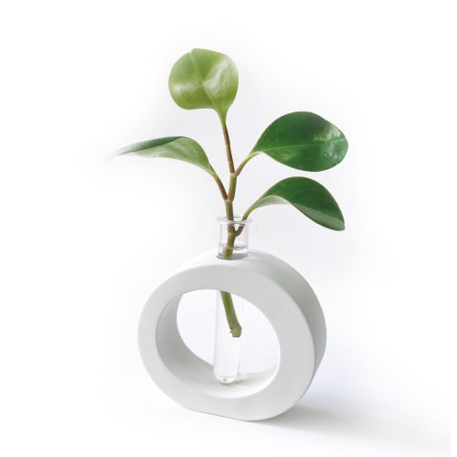 Ninan 泥喃｜水泥手作工作室 (現貨) 純灰系列 | 圓葉椒草 室內水培植栽 圓圈水泥水耕花架