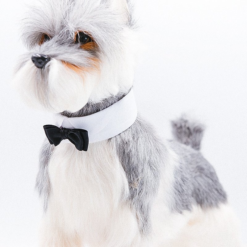 Momojism pet collar with bow tie - Honey Badger - Collars & Leashes - Cotton & Hemp White