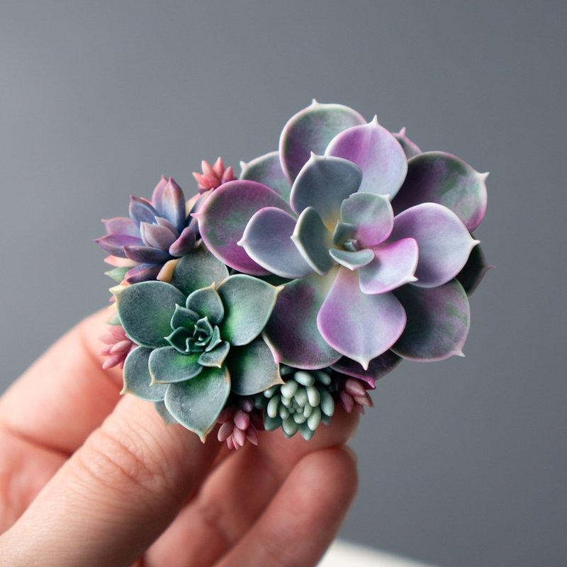 Large brooch with Echeveria Perle von Nurnberg - 胸針 - 其他材質 